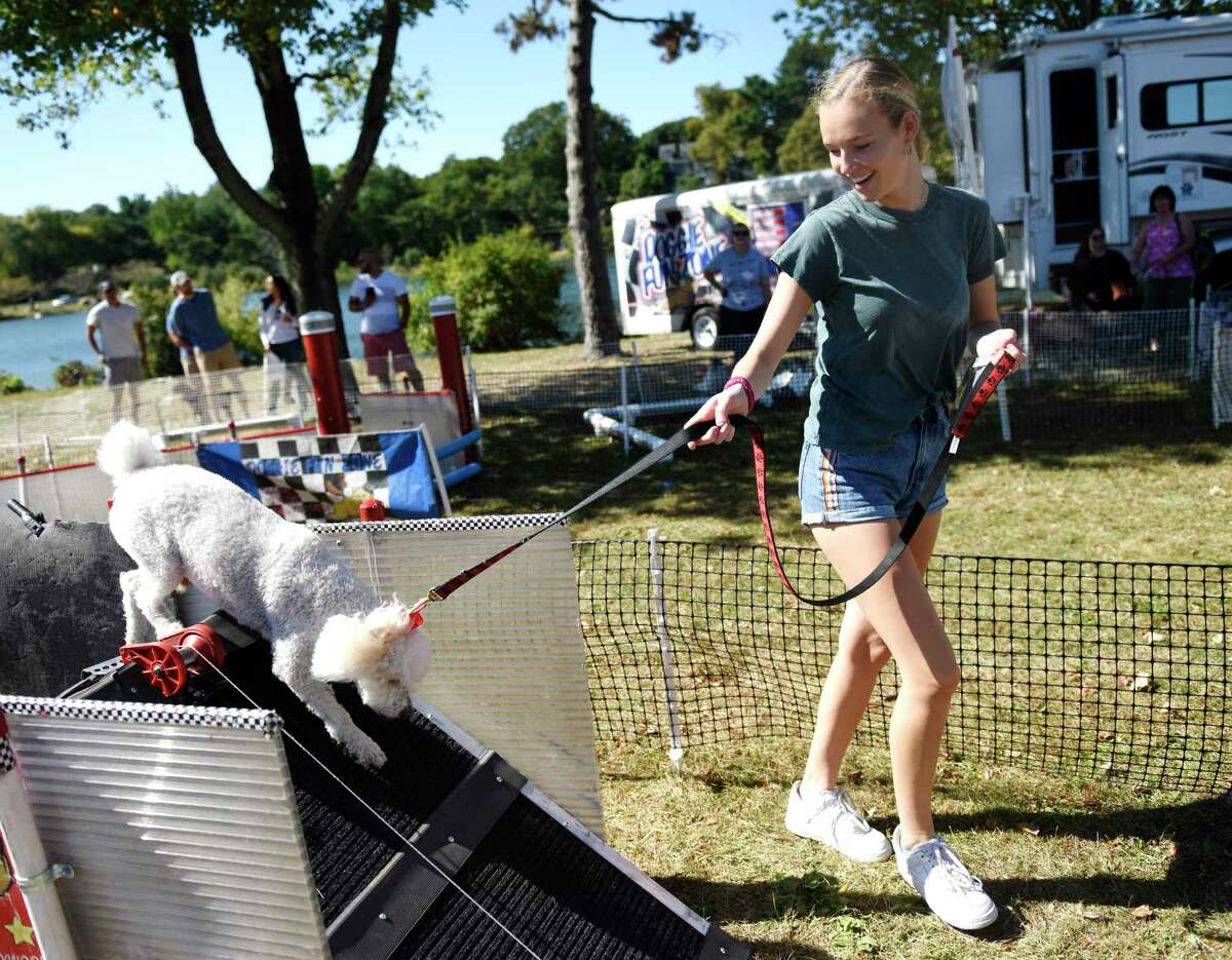 Greenwich's Isabella Dartnell walks her dog Teddy, a Cocker Spaniel and poodle mix, through the agility course at Adopt-A-Dog's annual Puttin' on the Dog fundraising event at Roger Sherman Baldwin Park in Sept. 29. The event is another major annual event inside the park and First Selectman Fred Camillo is pushing forward with park improvement plans even as the BET seems unlikely to approve more than $1 million in design money.