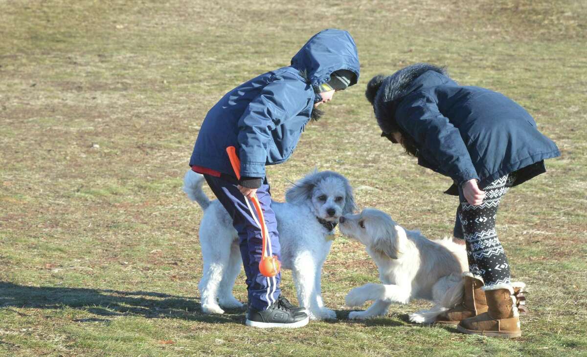 Sarah Estay and Mathias Vargas let their dog Tobita meet a new friend during play time at Taylor Farm dog park on a cold Sunday January 14, 2018 in Norwalk Conn. Students this year on spring break were met with similarly cold weather, prompting parents to ask the schools to switch the break back to April.