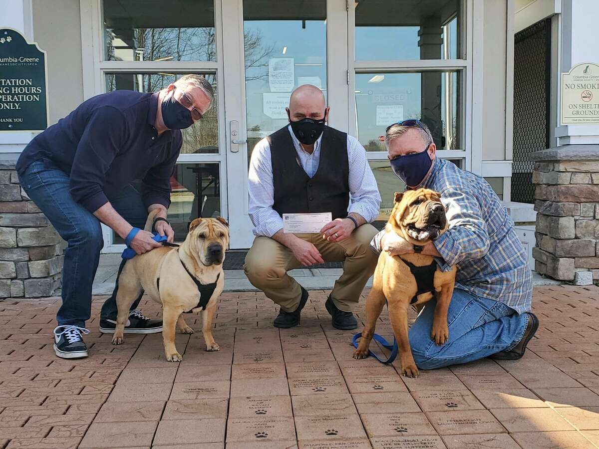 Russ Gibson and Duncan Calhoun recently presented a check to Columbia-Greene Humane Society/SPCA President/CEO Ron Perez for $50,000 to seed the Zamboni Fund, a dedicated fund to support the shelter's free Pet Food Bank and their low-cost veterinary clinic. They founded the fund in memory of their beloved Shar-Pei, Zamboni, who was adopted from CGHS/SPCA. They have committed $175,000 to this effort. Their desire is to encourage the public to contribute to the Zamboni Fund to ensure that no animal ever goes without food or necessary medical treatment. For more information on the Zamboni Fund, please contact Ron Perez by email at ronperez@cghs.org or by phone at (518) 828-6044 ext. 108. Pictured, from left to right: Russ Gibson, Ron Perez, and Duncan Calhoun, and their Shar-Peis Nora (left) and Nick (right).