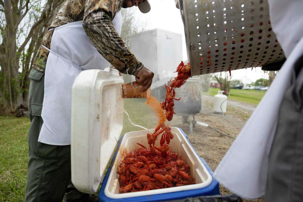 Marvin Escobar with Texas Mesquite Grill unloads crawfish into a container during the inaugural Music and Mudbugs festival, Saturday, March 27, 2021, in Montgomery. There was an estimated 8,000 people expected to attend the festival.