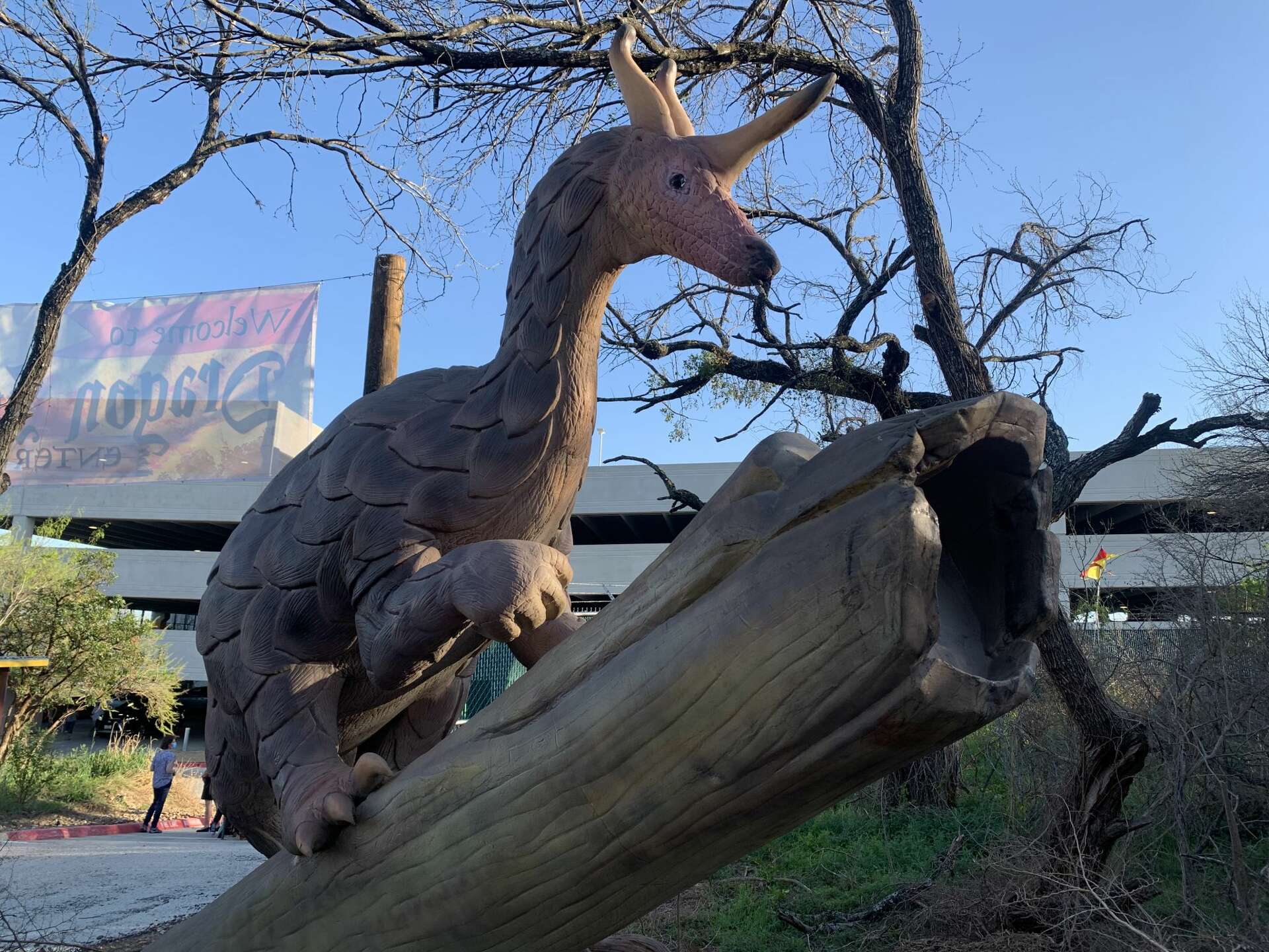 Dragon Fest at San Antonio Zoo makes up for missing Ren-Fest