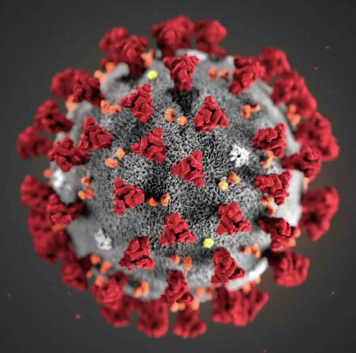 A COVID-19 particle is pictured in this image provided by the CDC. A study published in the Lanced medical journal examined the case of a man who became infected with two different variants of the SARS-CoV-2 virus in less than two months. (Centers for Disease Control and Prevention)