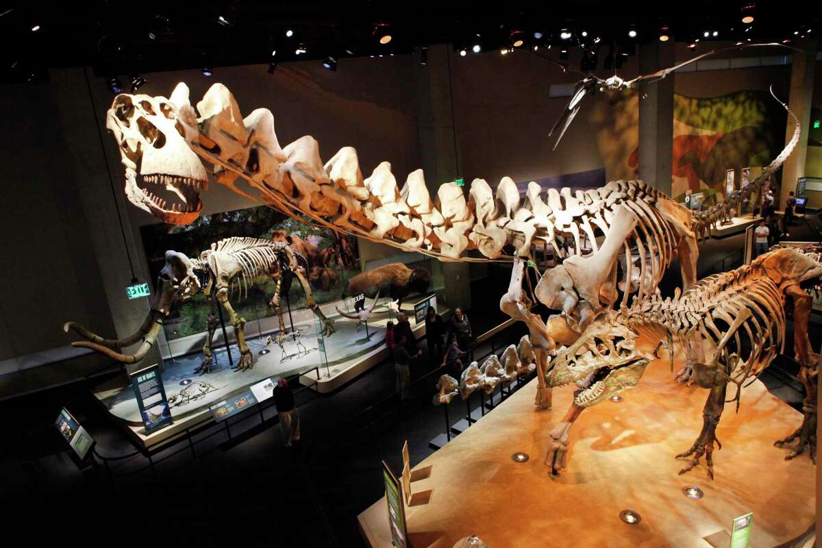 The largest Alamosaurus skeleton model on Earth looms large at the Perot Museum of Nature and Science in Dallas It measures 85 feet long.