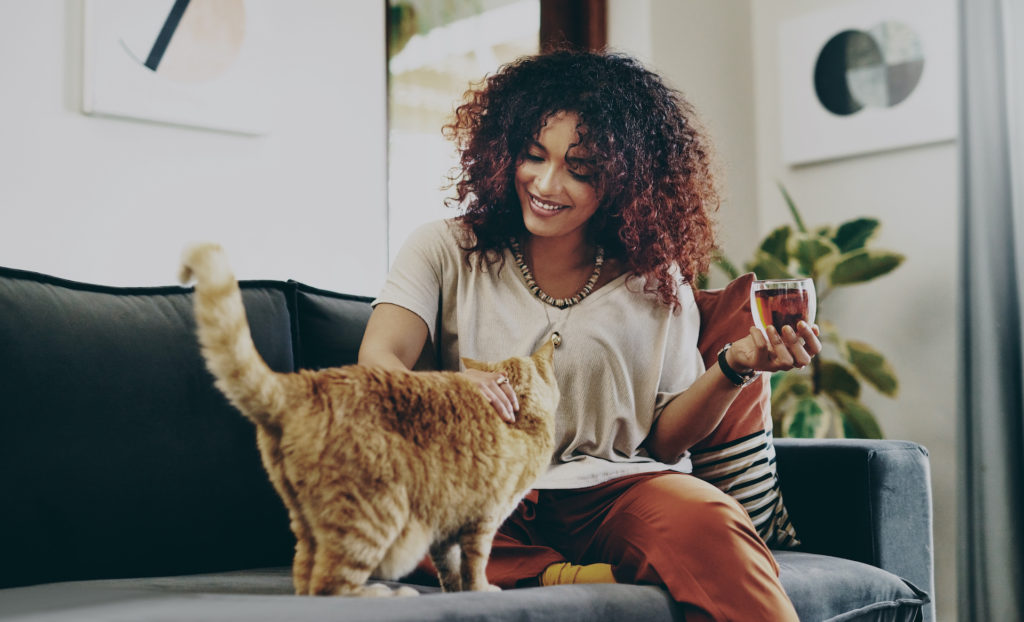 Best Cat Breeds For Apartments