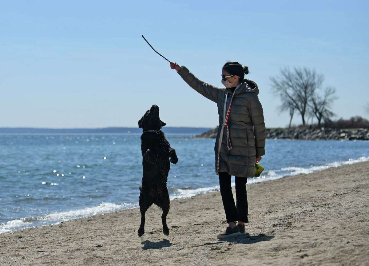 A woman plays with her dog, Hank, on the beach at Greenwich Point Park in Old Greenwich, Conn.