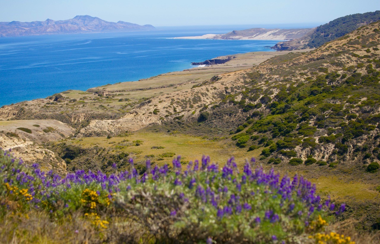 I went to one of California's least-visited national parks and it was magical - Vimarsana News