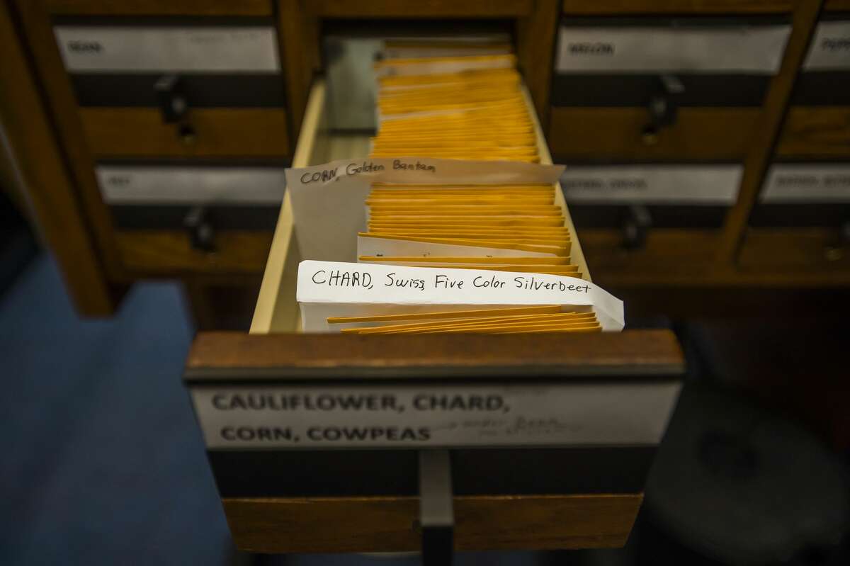 Seeds are organized in a file cabinet containing the new seed library Wednesday, March 31, 2021 at the Grace A. Dow Memorial Library in Midland. (Katy Kildee/kkildee@mdn.net)