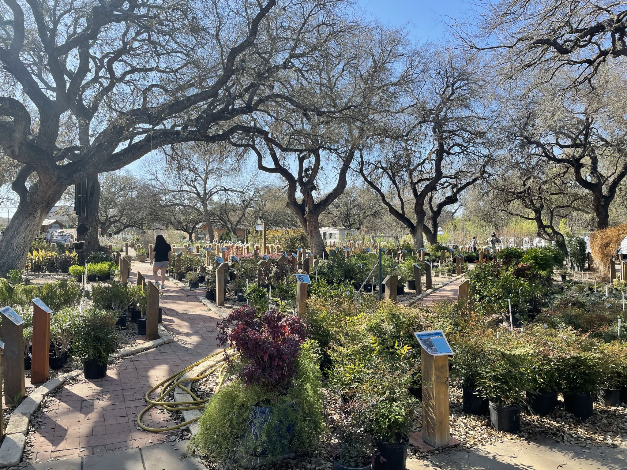 YourSA Best Garden Center Winner Rainbow Garden Center