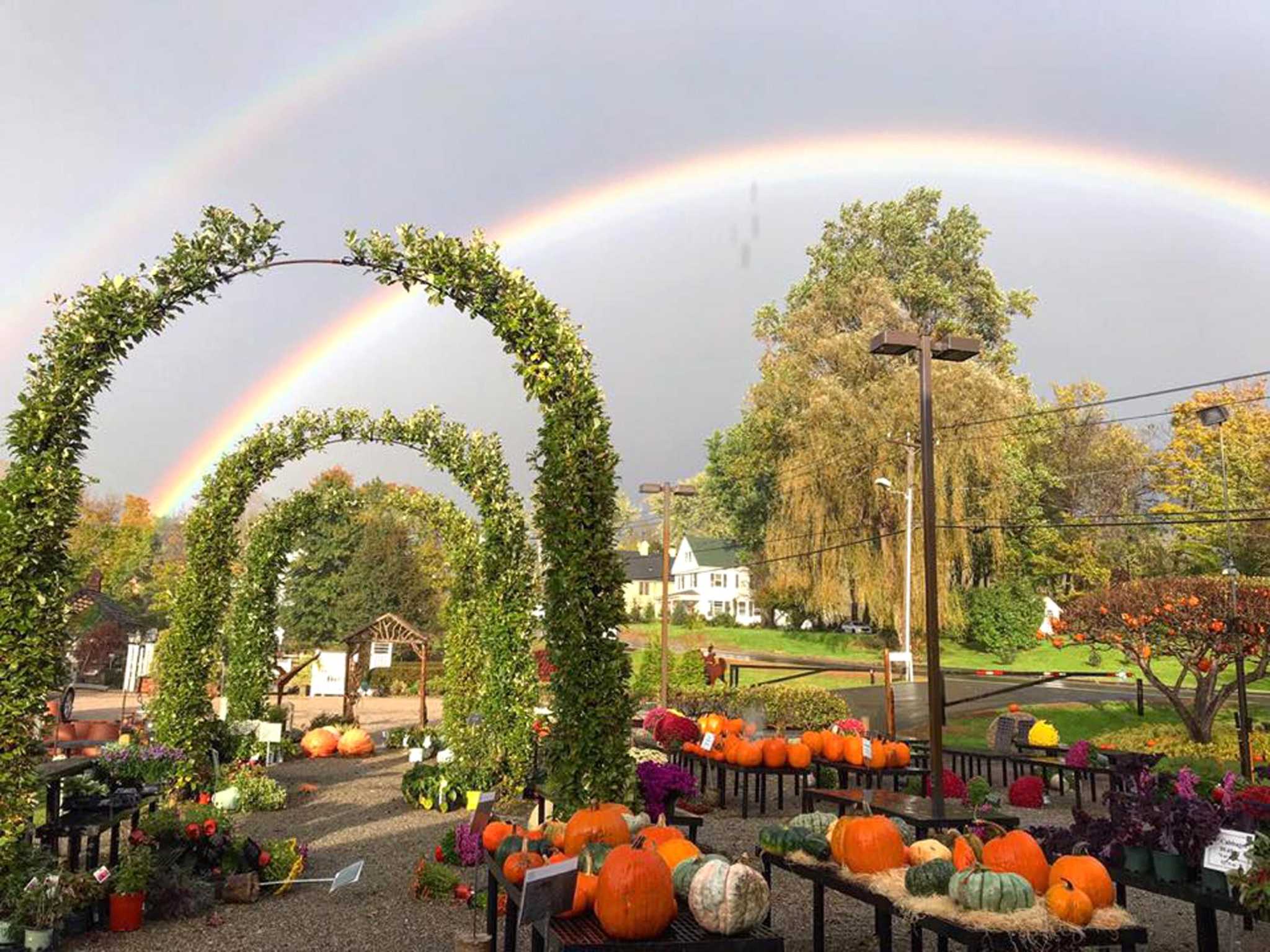 Kent Greenhouse & Gardens selected for two awards