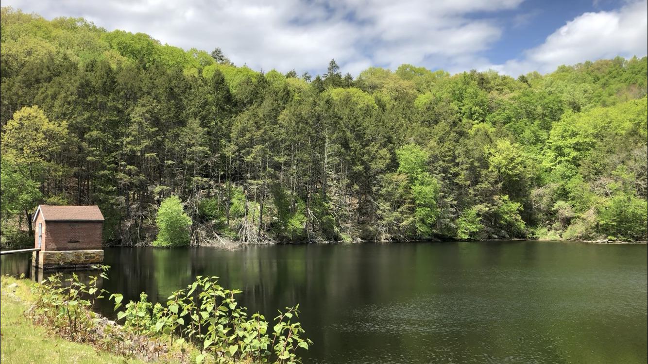 As area utilities get ready for growing season, how much can CT residents expect to pay for water use this summer? - Vimarsana News