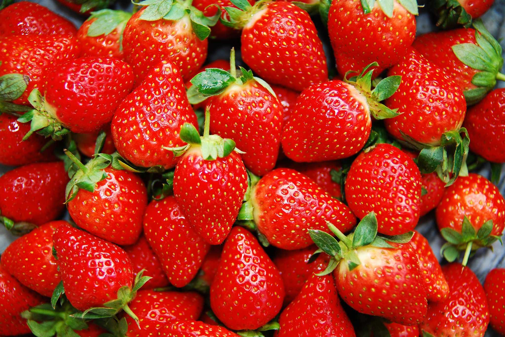 How to keep strawberries fresh for longer, like a week or more