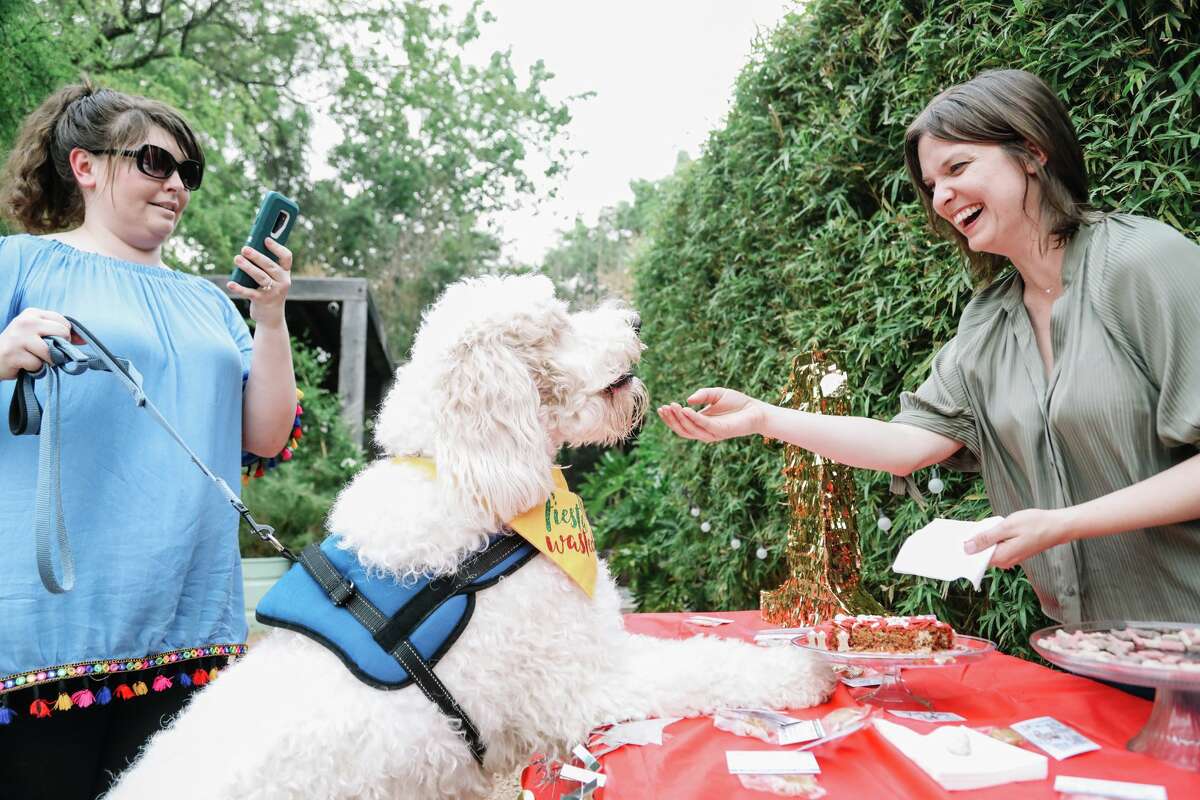 Dog Friendly SA (pictured at their anniversary party) will team up with local businesses and Daisy Cares to raise 30,000 pounds of dog food this month.