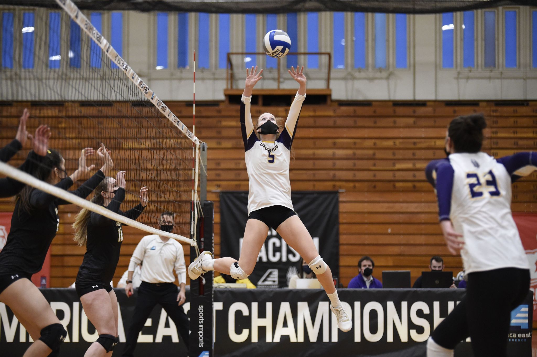 UAlbany Volleyball Falls Just Short In America East Championship