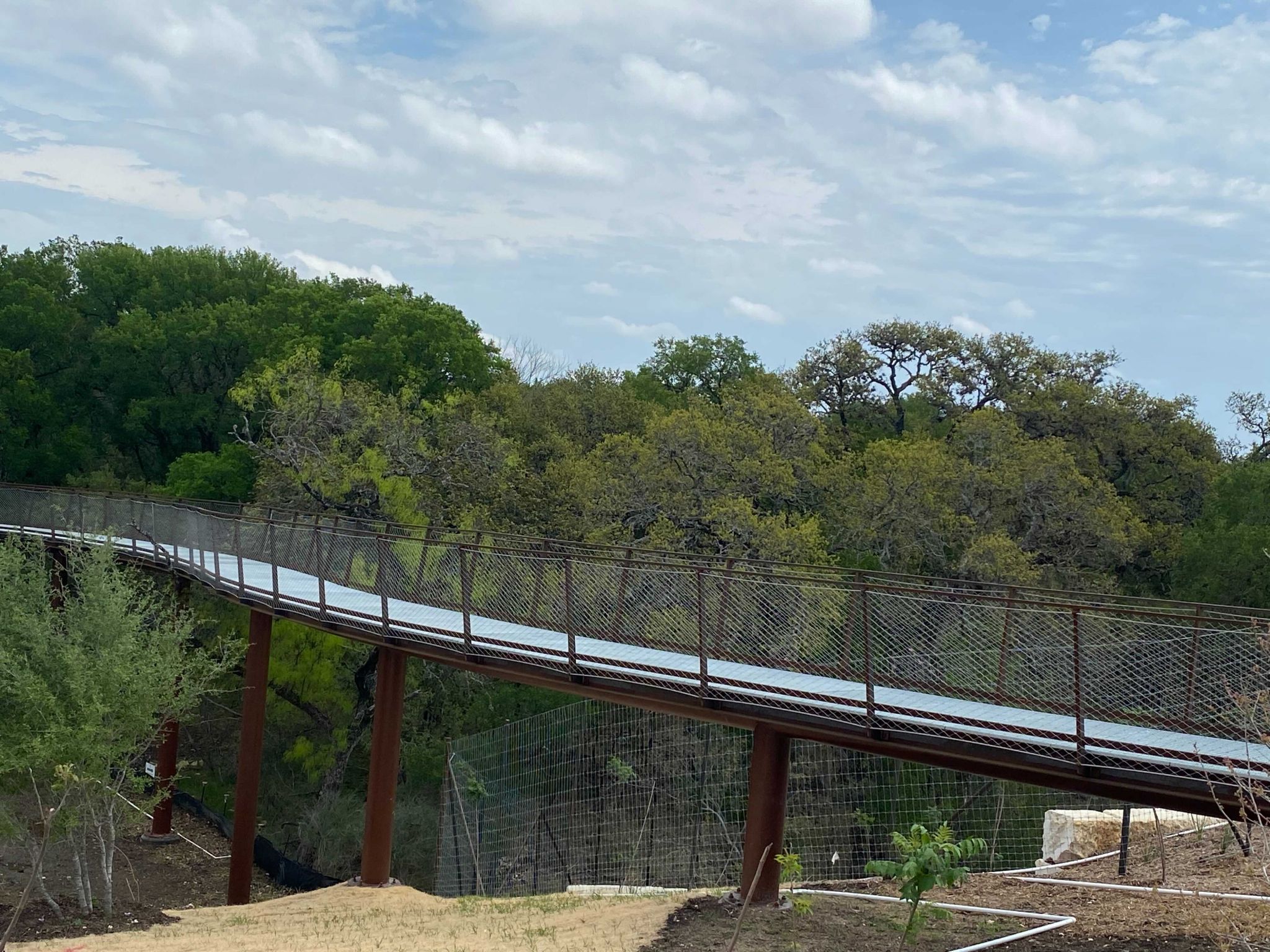 San Antonio's spectacular skywalk opens at Phil Hardberger Park