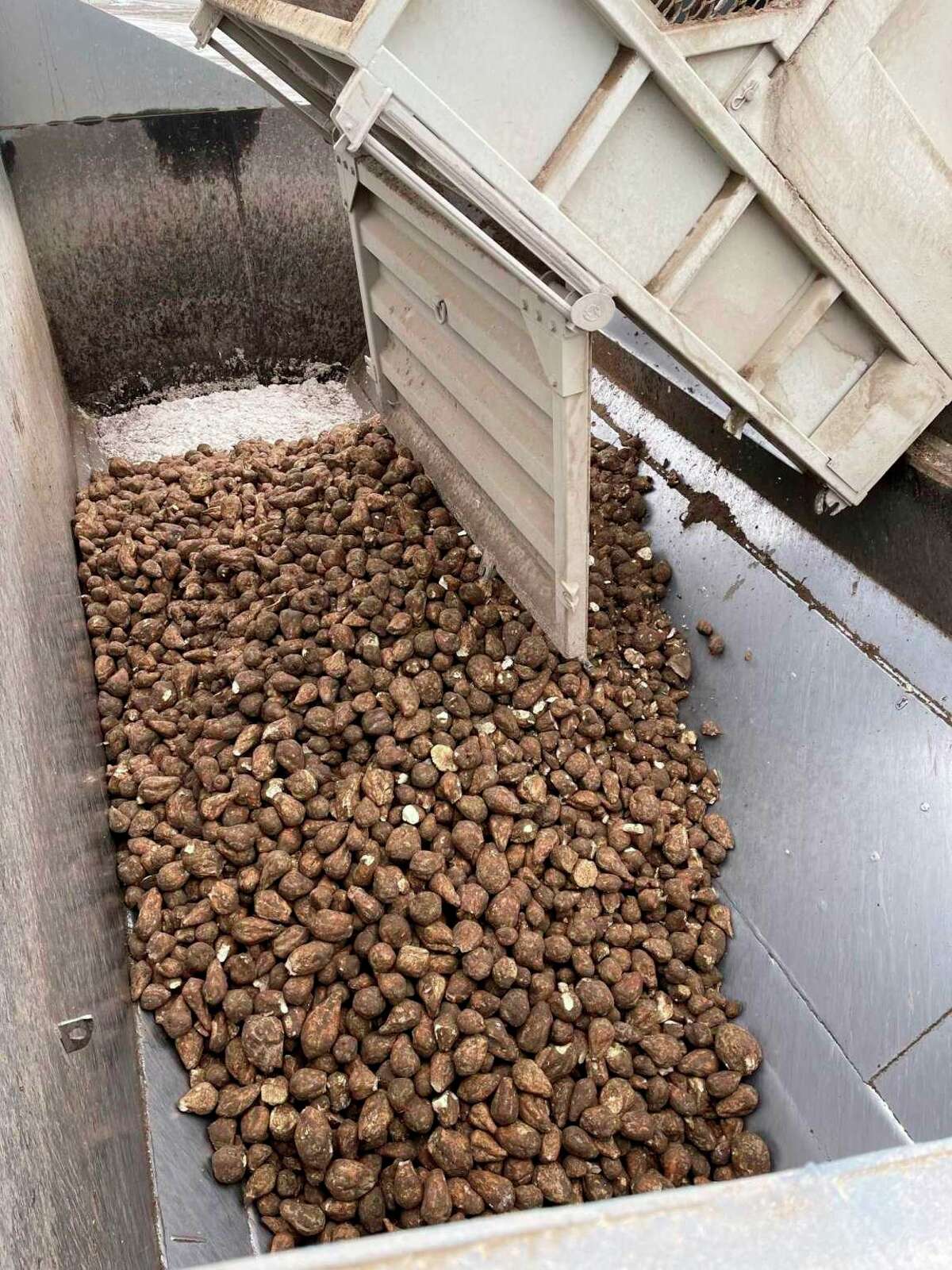 2020 sugarbeet harvest one of best for local farmer