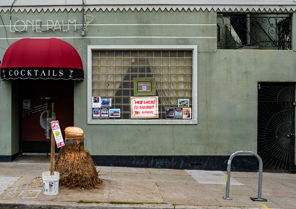 What happened to SF bar Lone Palm's iconic palm tree? - Vimarsana News