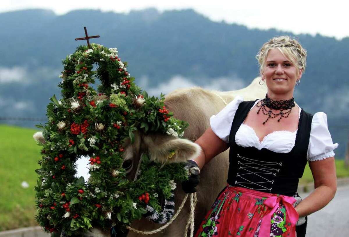 OBERSTAUFEN, GERMANY - SEPTEMBER 10: A woman wearing a Bavarian dirndl dress walks with a decorated cow on September 10, 2010 in Oberstaufen, Germany. Up to 1200 cattle returned to the valley after spending the summer months in the mountains. The alpine farmers decorate one cow of the herd when all the cows return well from the mountains. (Photo by Miguel Villagran/Getty Images)