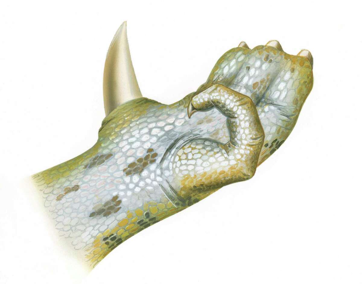 dinosaur with thumb spike