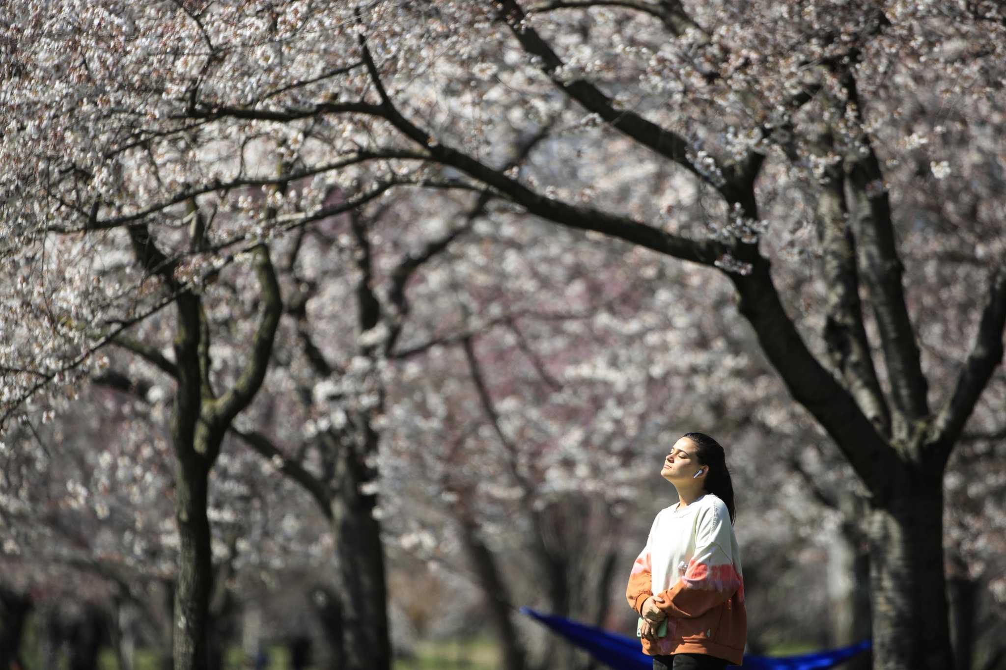 Is it safe for allergy sufferers to get COVID vaccine? Doctors say yes. - Vimarsana News