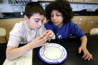 Project Oceanology puts on a series of summer camps for kids, focusing on marine science and conservation. Andrew Klimaszewski, left, and Scott Redmond, 6th graders from West Woods School in Hamden, get a closer look at a squid at the Project Oceanology program at the Marine Sciences Center at the UCONN Avery Point Campus during a field trip.