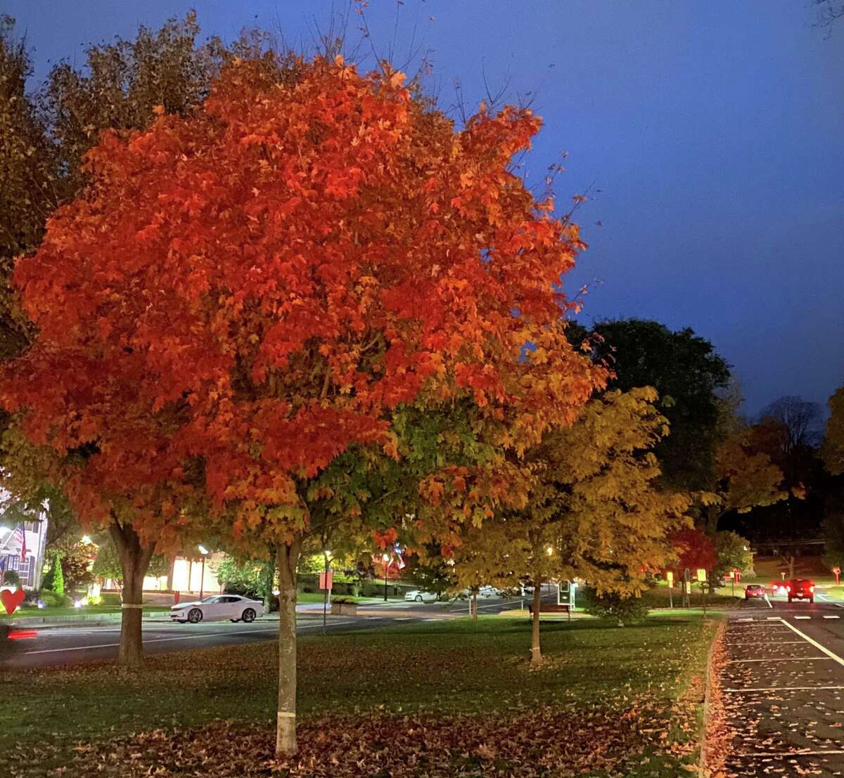 Spectrum/The autumn foliage throughout the Greater New Milford area is always striking. Above, early evening light and lampposts illuminate the colorful foliage of the trees on the Village Green in New Milford. October 2020