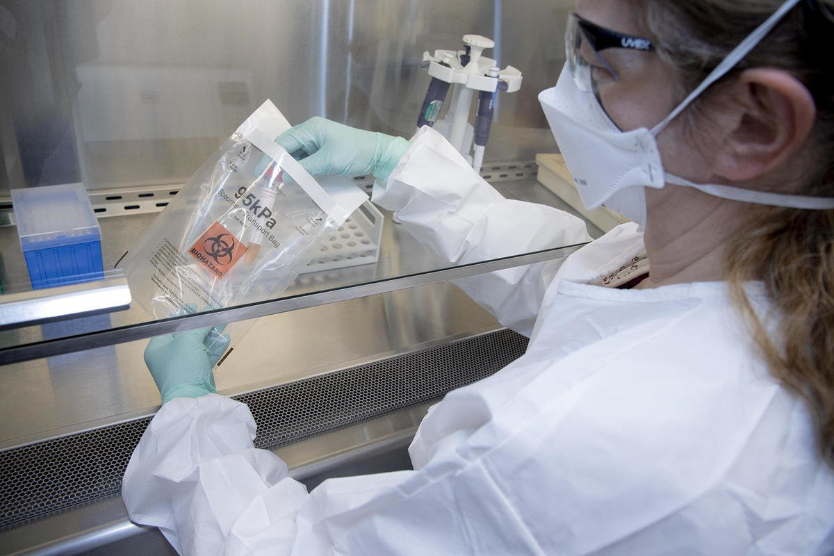 COVID testing labs feel more 'normal' prompting concern from officials - Vimarsana News