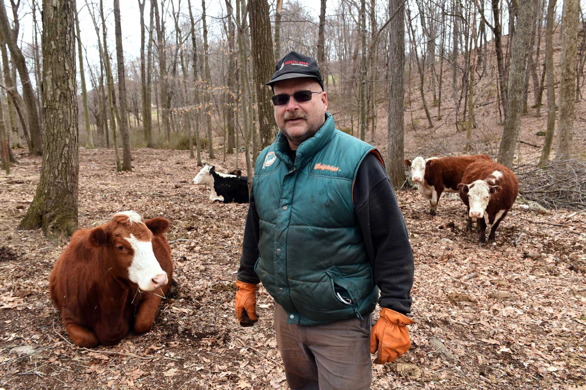 'People were buying local': Some Southbury farms see 'obscene' amount of revenue during COVID - Vimarsana News