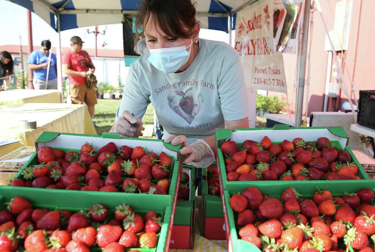 Irma Sanchez of Sanchez Family Farms marks a flat of strawberries as sold on Friday during the Poteet Strawberry Festival.