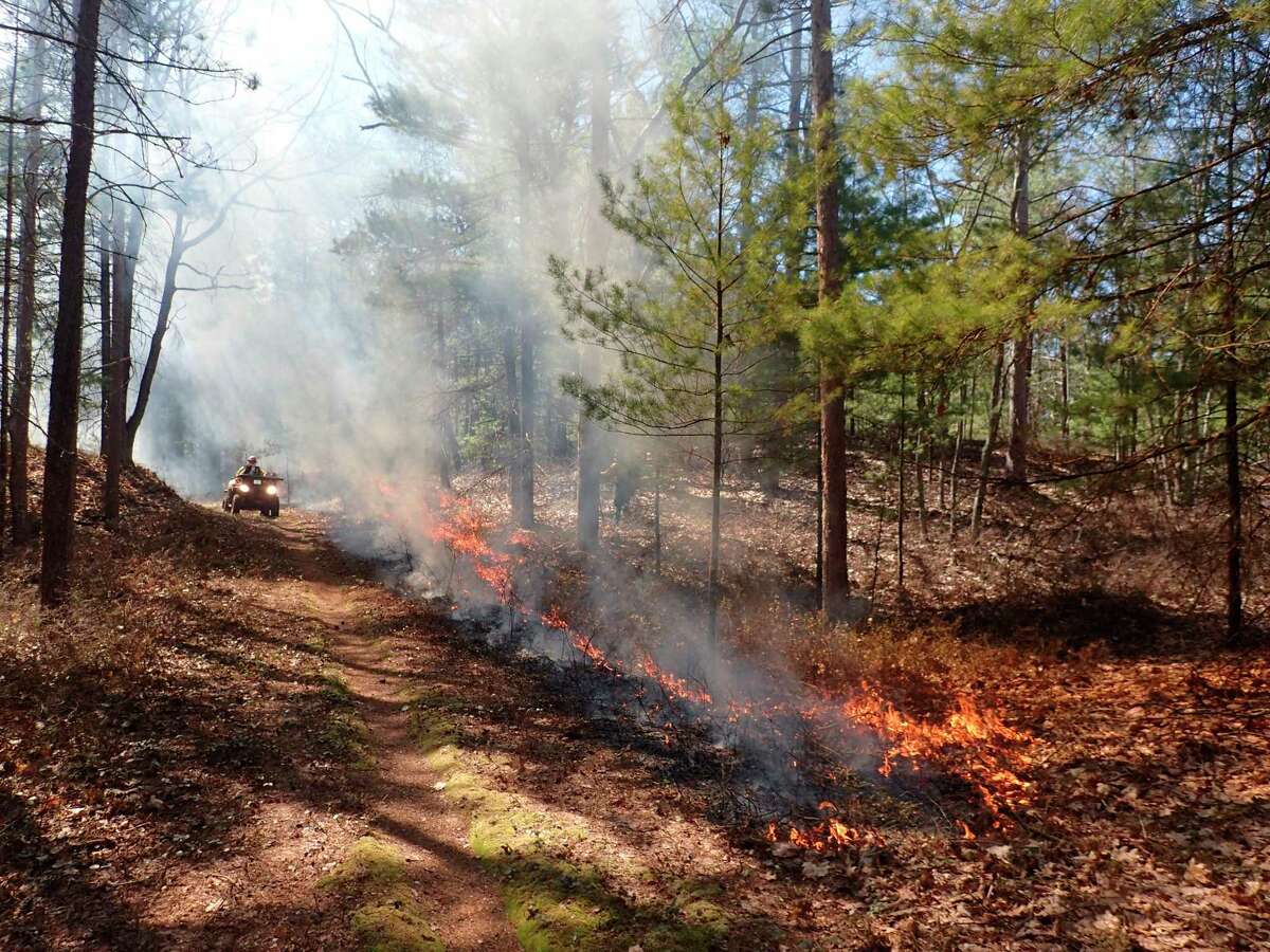 Prescribed fire is a management tool used to maintain healthy ecosystems, replenish fire dependent ecosystems, reduce available fuels in the event of wildfire, and assist with the management of invasive species. (Courtesy Photo)