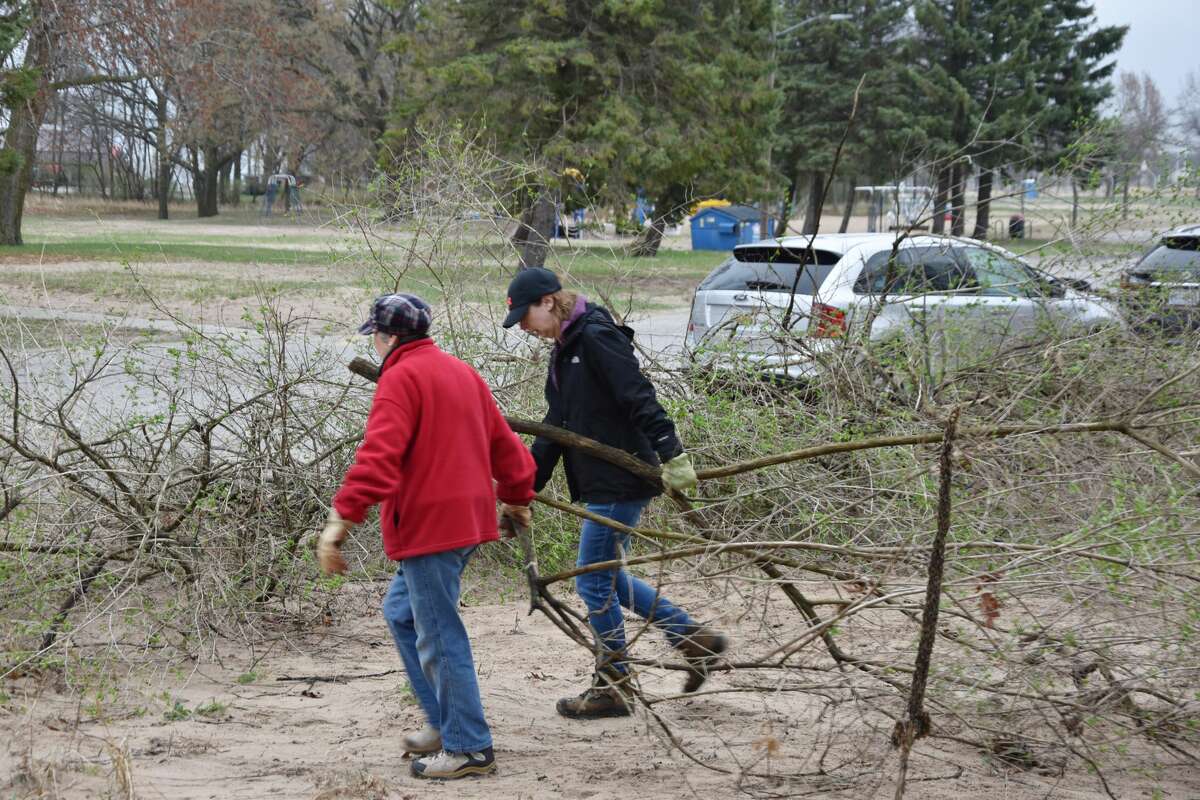 (From left) Joan Stork, of Manistee, was at the clean up on Saturday working alongside her her daughter, Julie Deisch to clean up First Street Beach the area's honeysuckle.