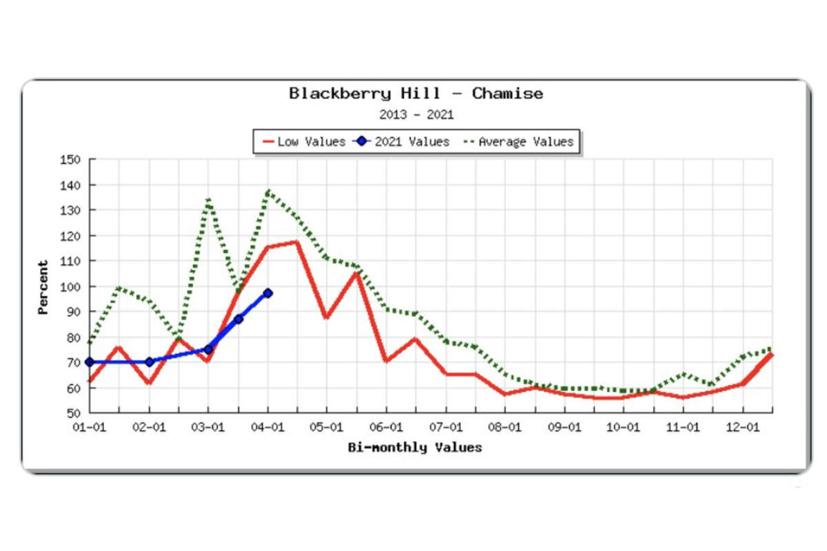 Current data for total chamise growth at the Blackberry Hill site. 2021 data is blue, lowest recorded values between 2013-2017 are red, and the 10-year average is in dashed green.