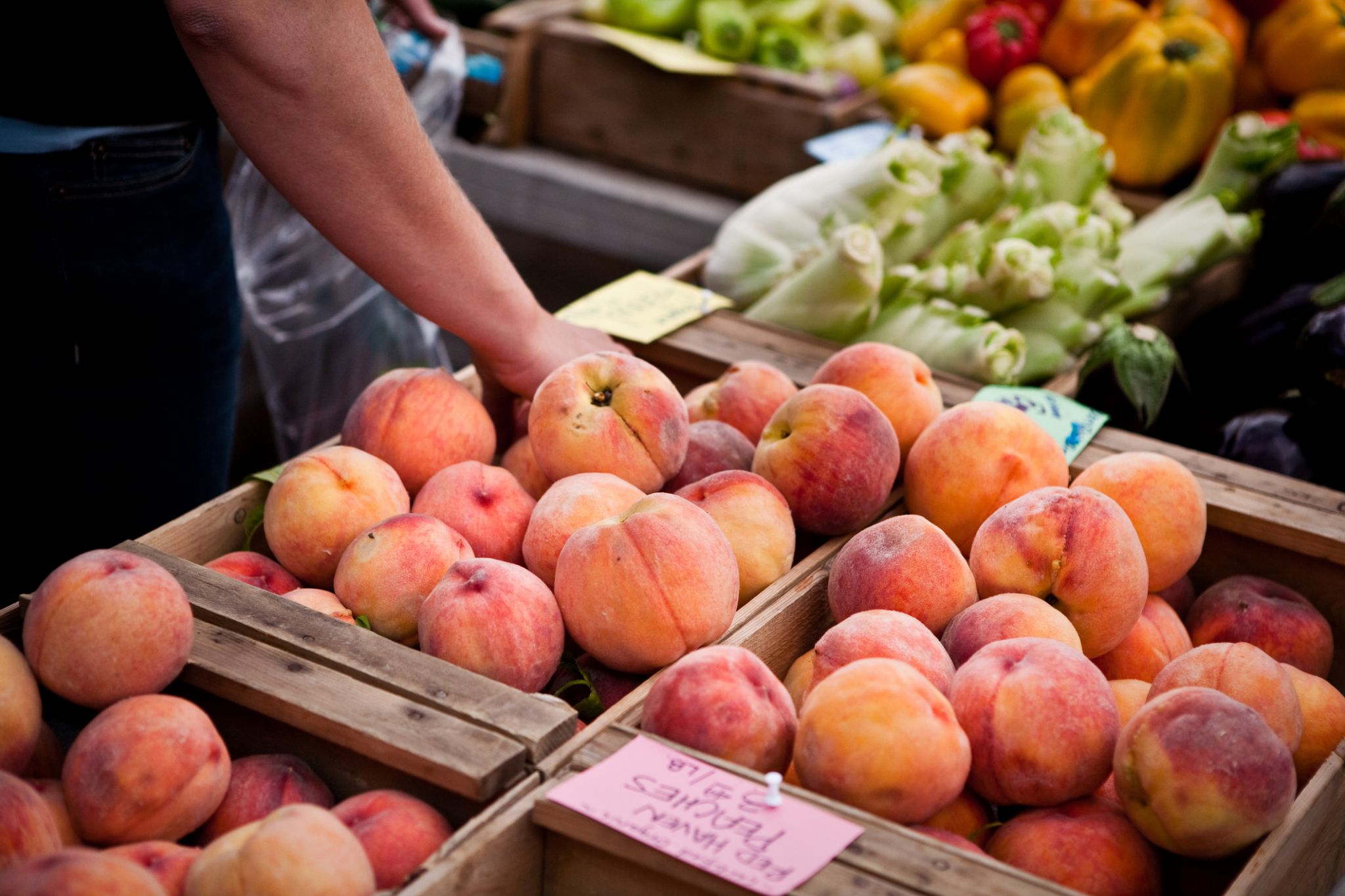 Seattle's Capitol Hill Farmers Market moves to new permanent plaza location on April 18 - Vimarsana News