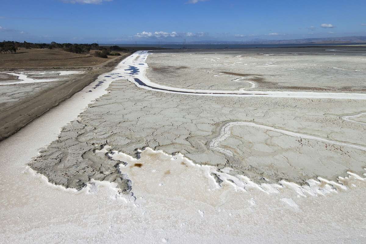 A former salt drying flat near Bedwell Bayfront Park in Menlo Park, Calif. Researchers say Bay area salt flats such as this need to be opened up to allow for the flow of the tides so sediment will begin to accumulate, triggering the natural growth of marshland, which will in turn help combat sea level rise.