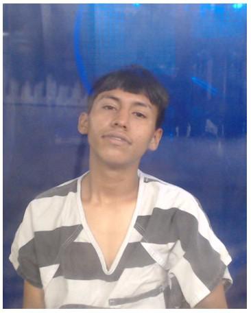 Teen tried to smuggle two children via Bridge 1 for $500 - Vimarsana News