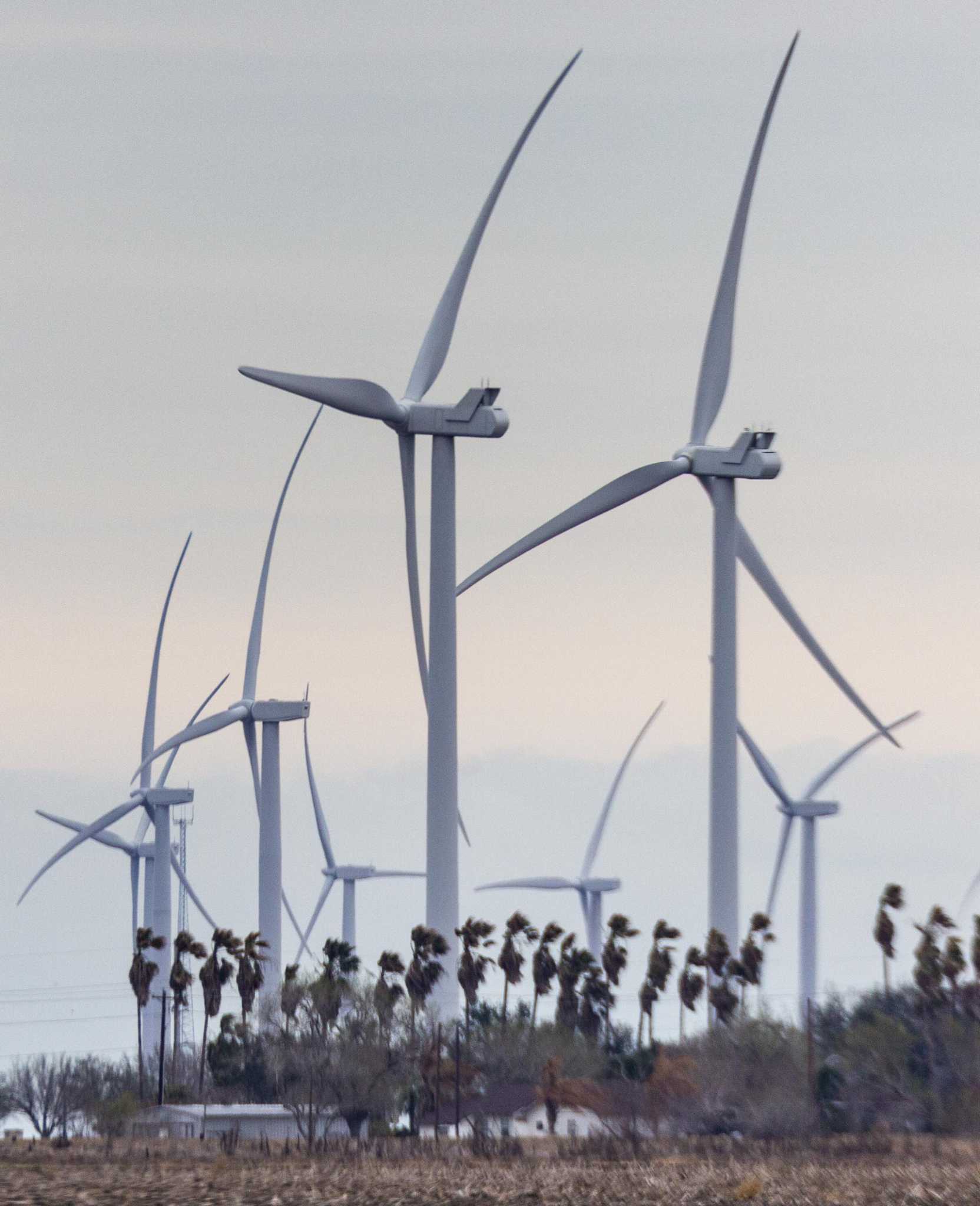 2020 brings largest one-year drop in U.S. carbon dioxide emissions - Vimarsana News