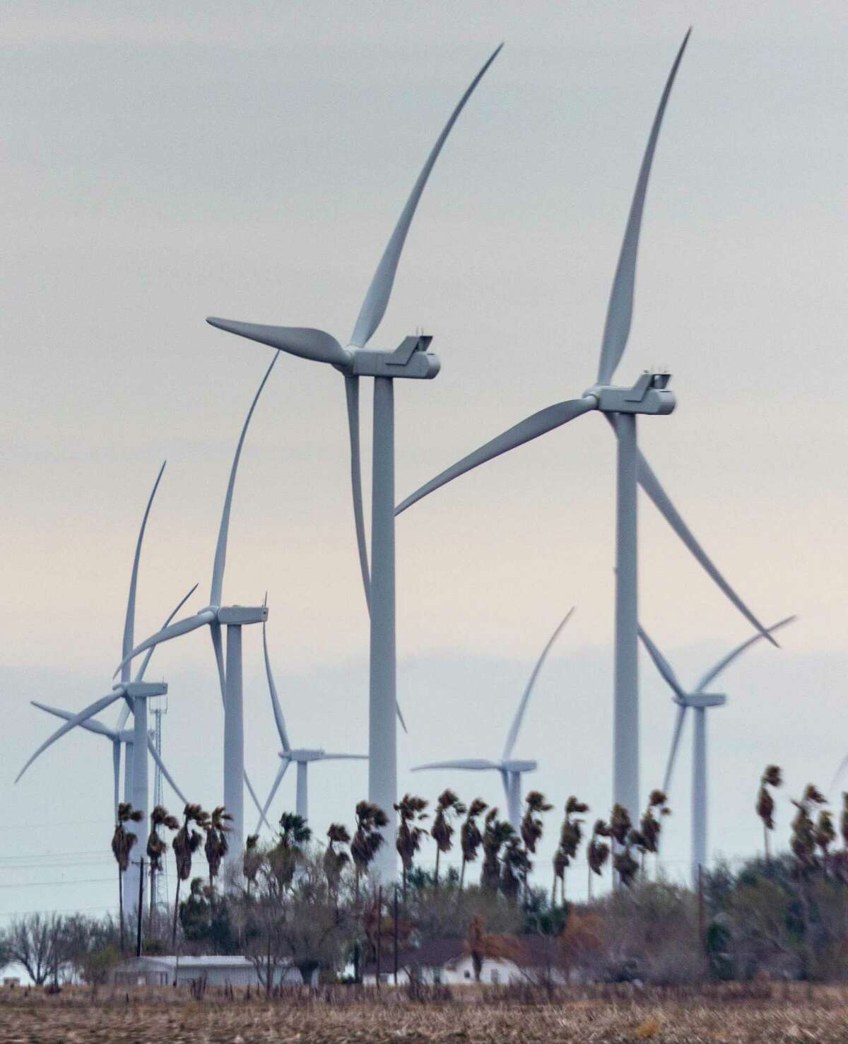Wind energy accounts for 23 percent of Texas energy. To honor the Earth and combat climate change, Texas policymakers should be embracing clean energy sources and investing in future ones.