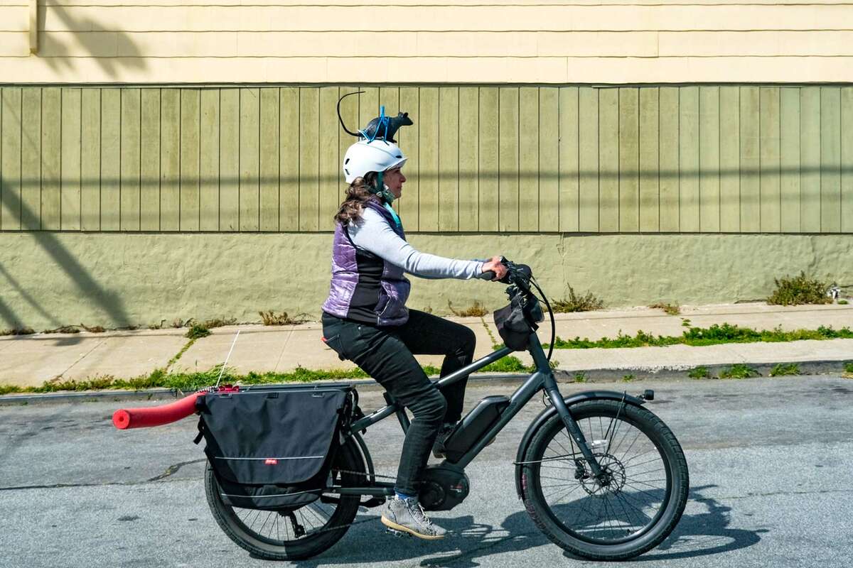 Bicycle activist Maureen Persico got rid of her car seven years ago in favor of an electric bicycle.