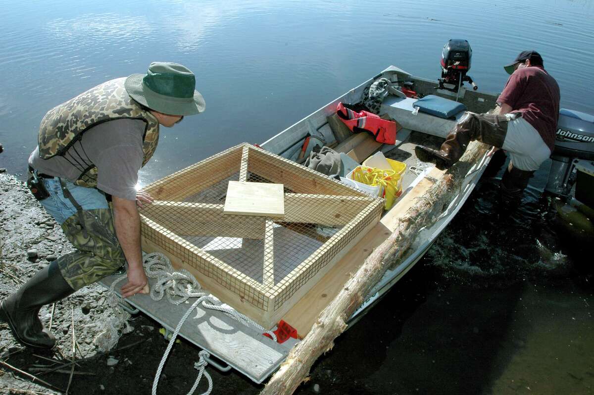 Peter Picone, a wildlife biologist with the state Department of Energy and Environmental Protection, left, and volunteer John DelDebbio take an osprey nesting platform out on a boat to a location up the Quuinnipiac River in North Haven.
