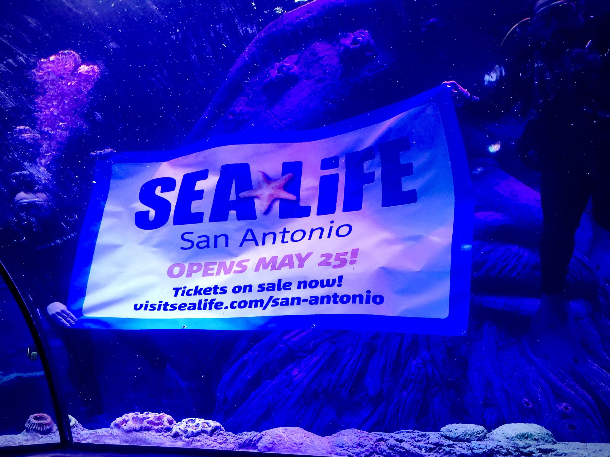 sea-life-aquarium-sets-long-awaited-opening-date