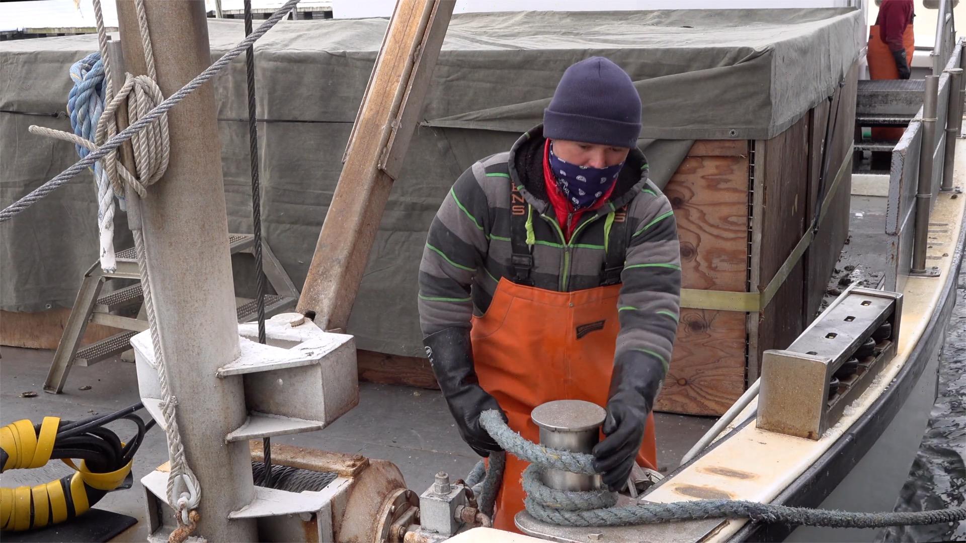 Heroes on the half shell: New Haven filmmaker at work on oystering documentary - Vimarsana News