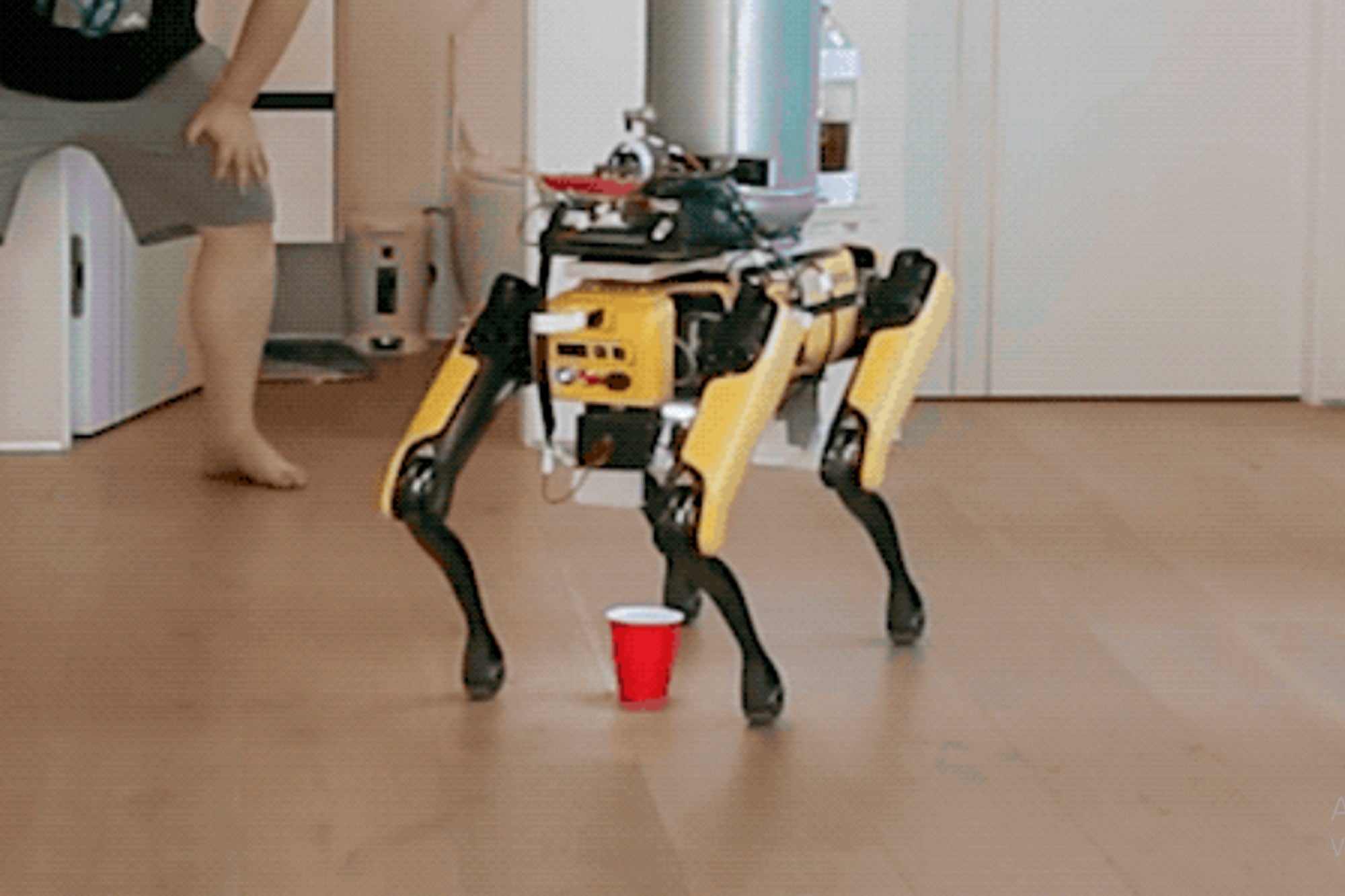 michael reeves boston dynamics dog