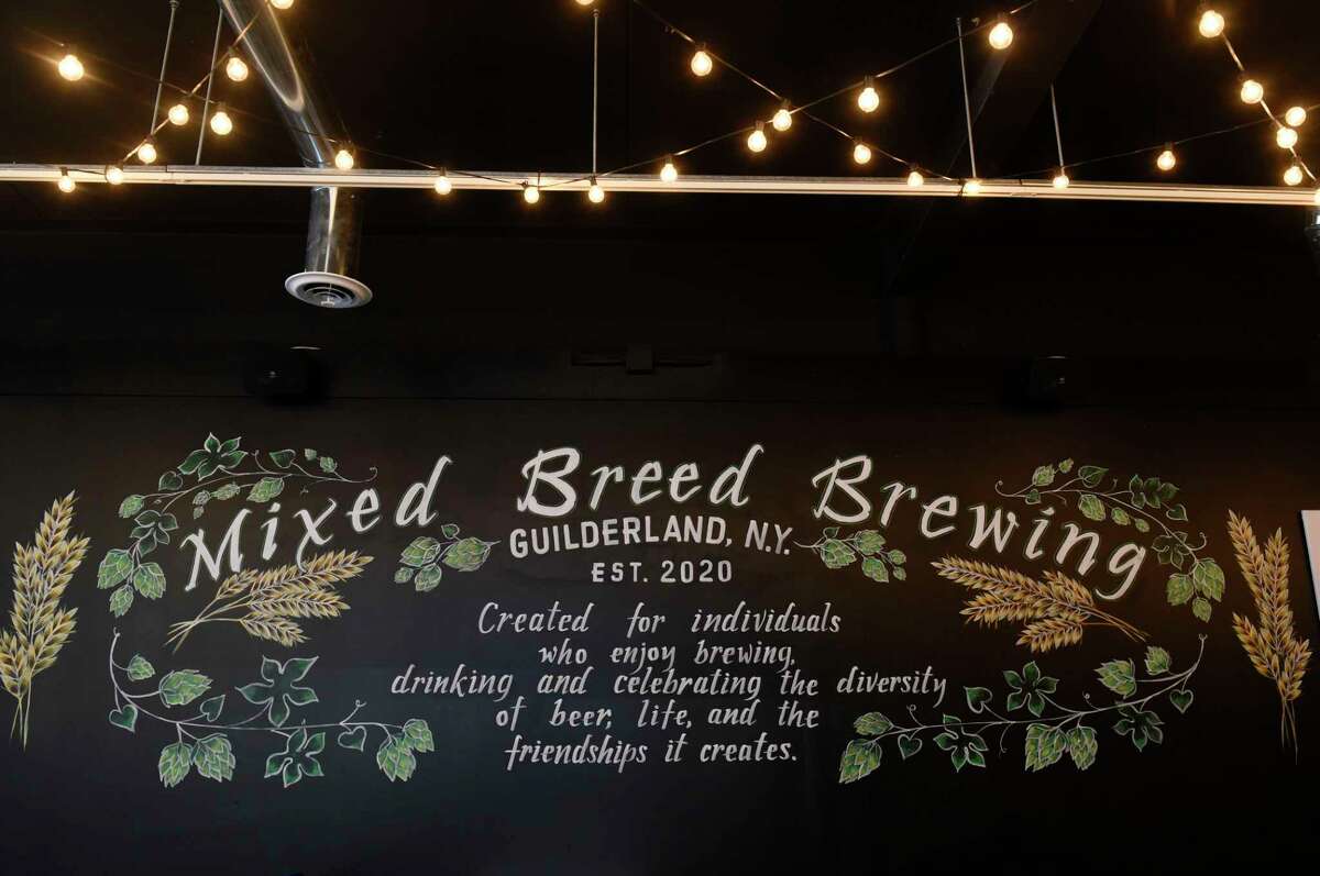 Mixed Breed Brewing opens Saturday in Guilderland Center