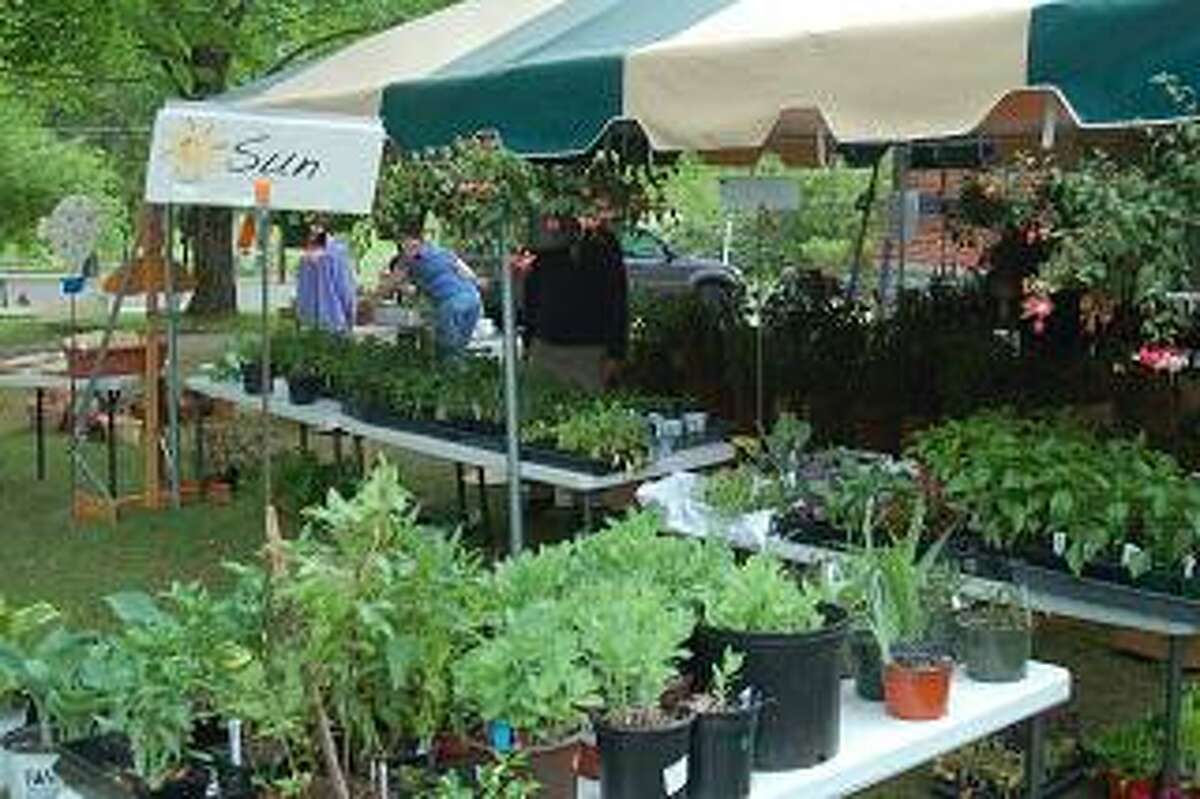 Scene from a past Homegrown Plant Sale.