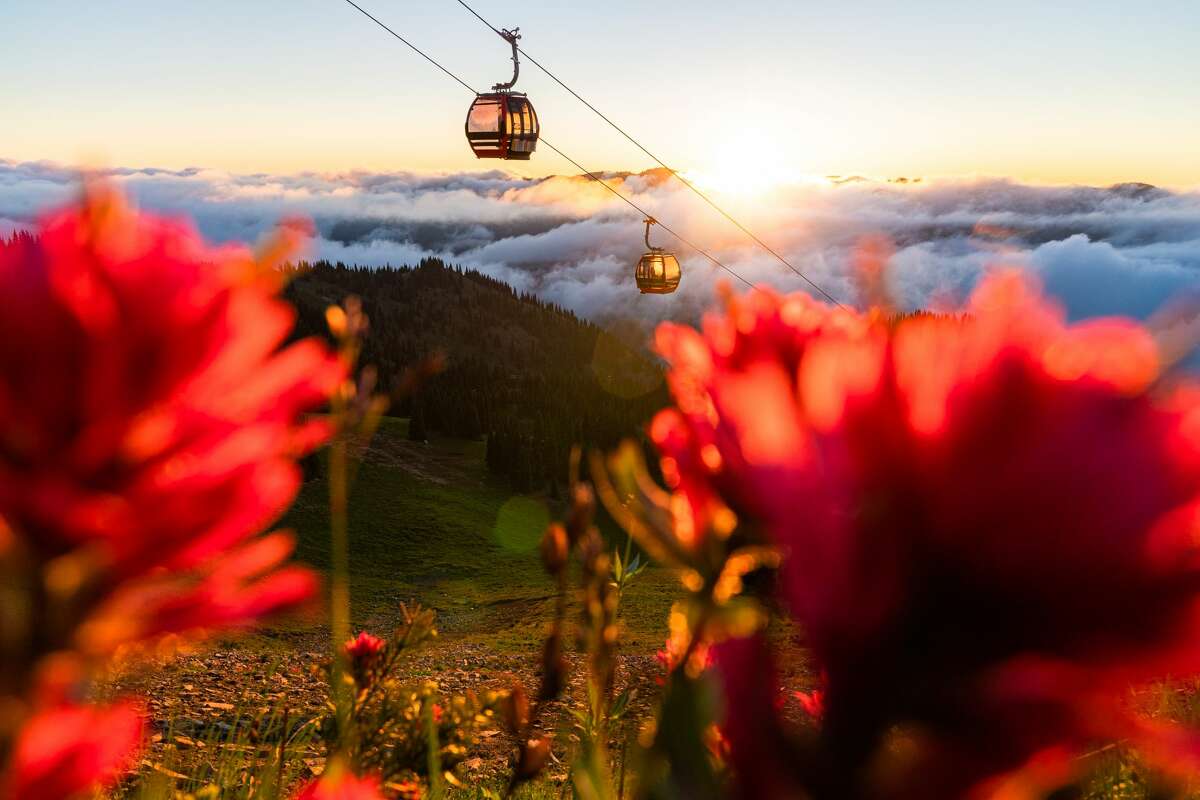 Crystal Mountain to open luxurious tent retreat for large gatherings near Mt. Rainier this summer