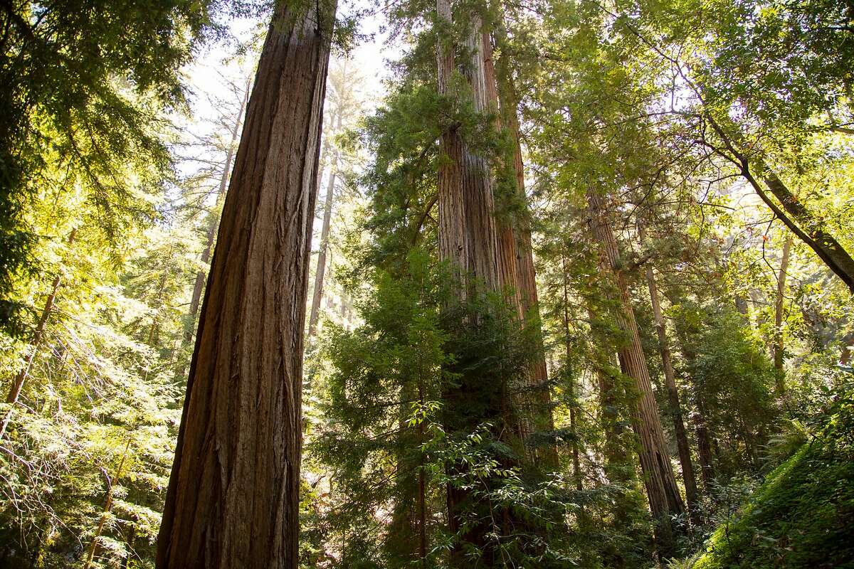 Sykes Hot Springs: Backpacking Pine Ridge Trail to Big Sur Hot Springs