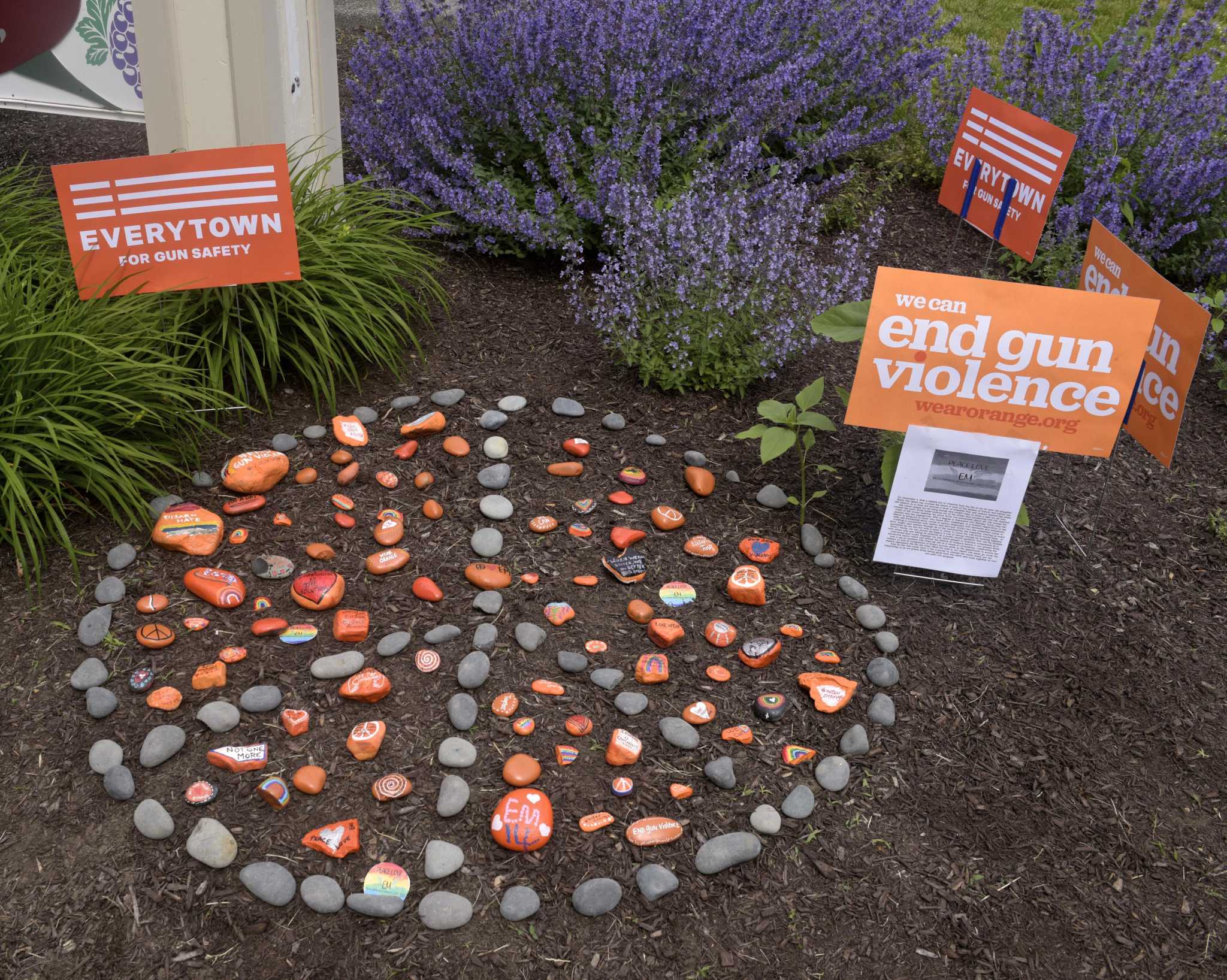 CT 'red flag' law only major gun bill moving forward this year - Vimarsana News