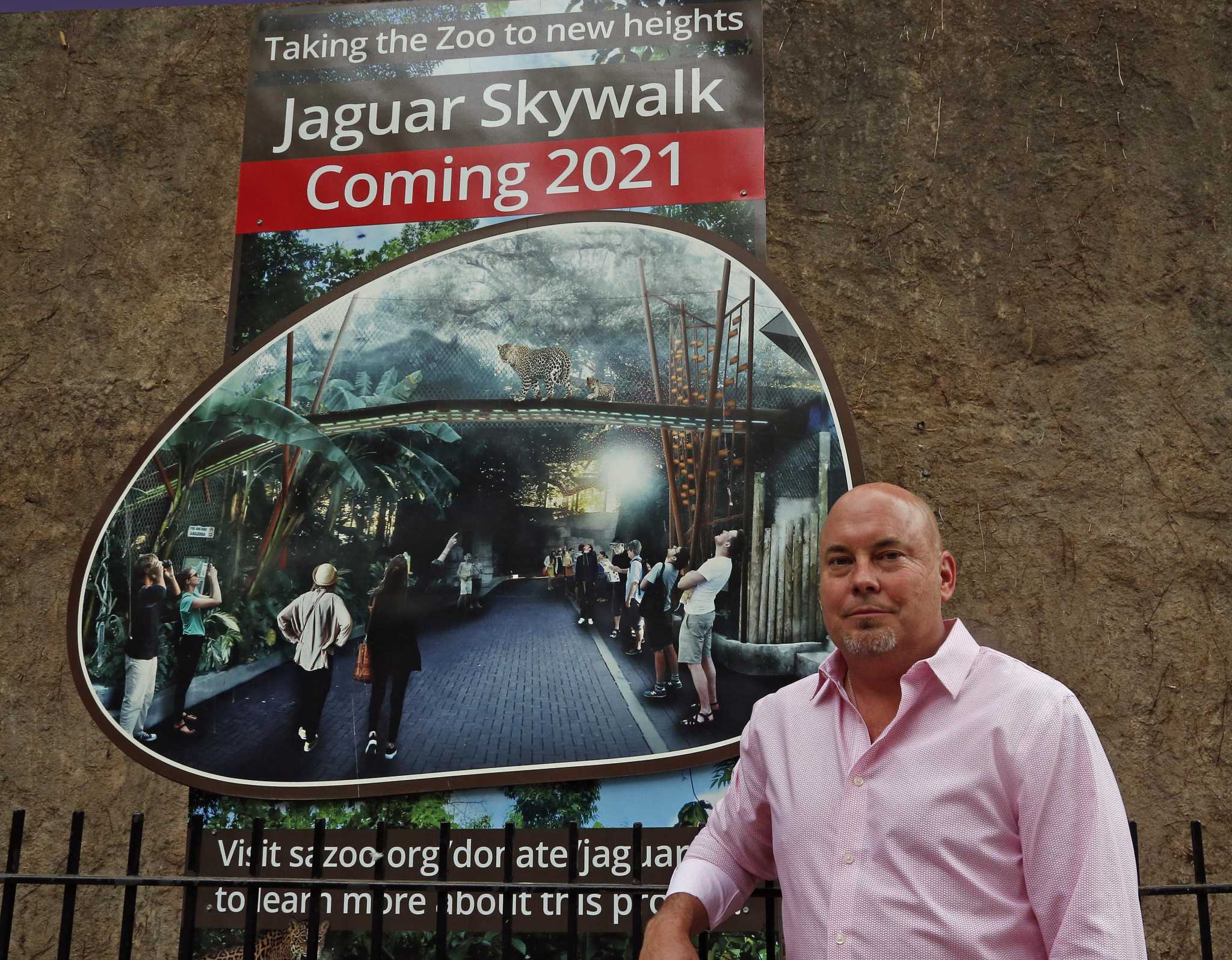 San Antonio Zoo to open $1.4-million overhead path for jaguars in the fall - Vimarsana News