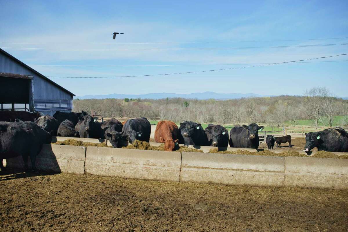 24 billion USDA pandemic relief program failed to help most farmers