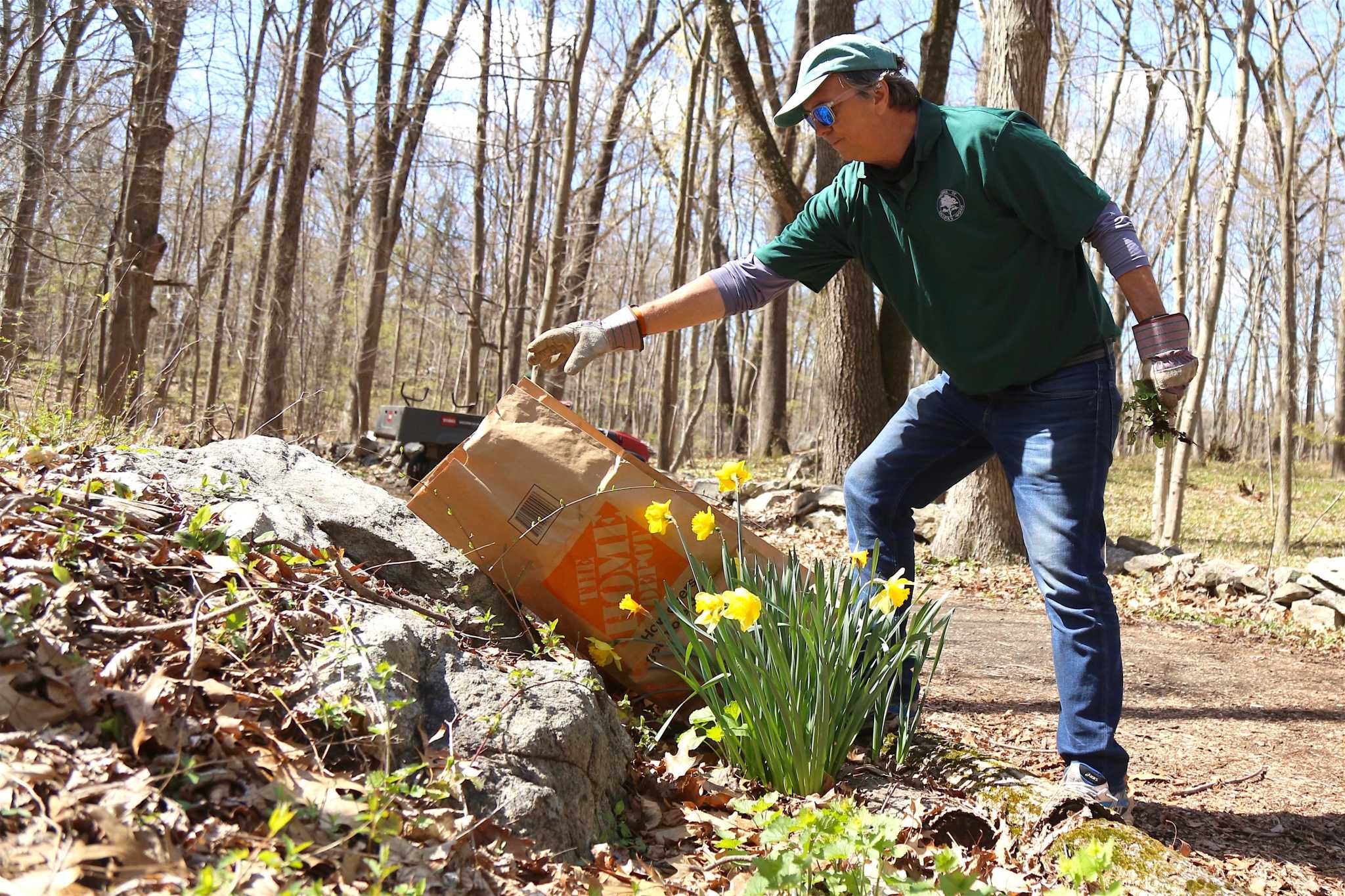 Robert Miller: Do we need to battle the invasive garlic mustard? - Vimarsana News