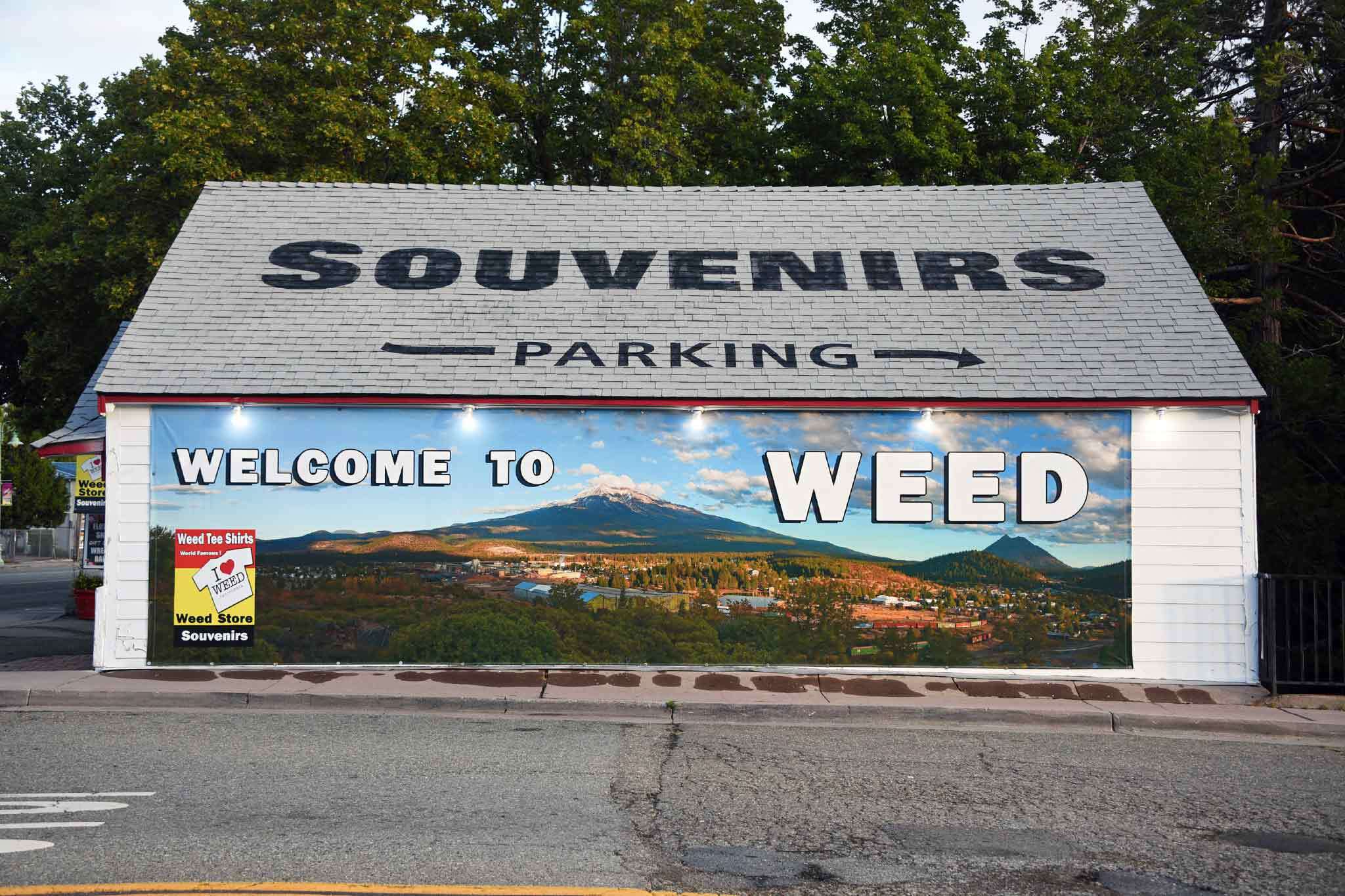 What it's like to live in Weed, the historic Northern California logging town turned punchline - Vimarsana News